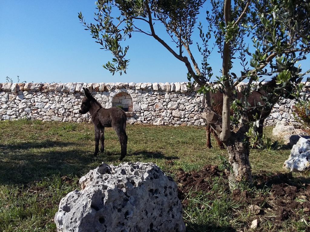 マルティナ・フランカ Agriturismo Masseria Casedde Vecchieヴィラ エクステリア 写真